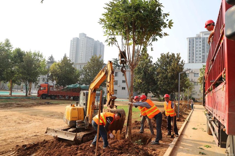园林绿化助力城市呼吸